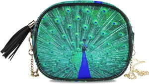 Crossbody Bag for Women Shoulder Bag with Chain Strap and Tassel