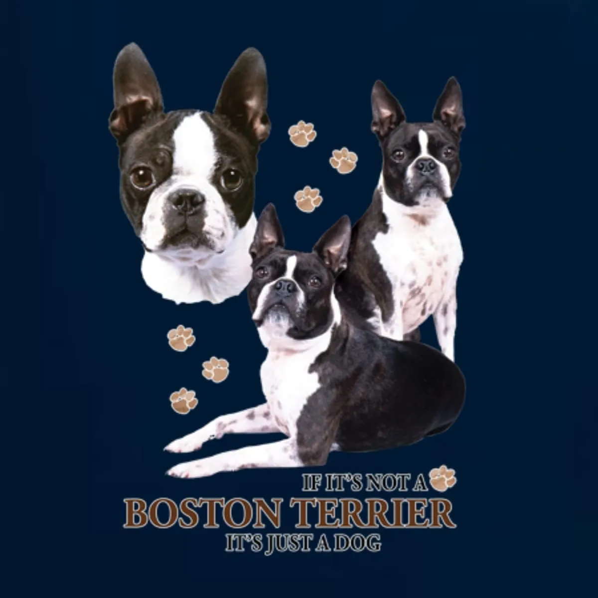 If It's Not a Boston Terrier It's Just a Dog Gift Dog Lover Womens Junior Fit V-Neck Tee