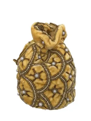 Luxury Golden Velvet Bag