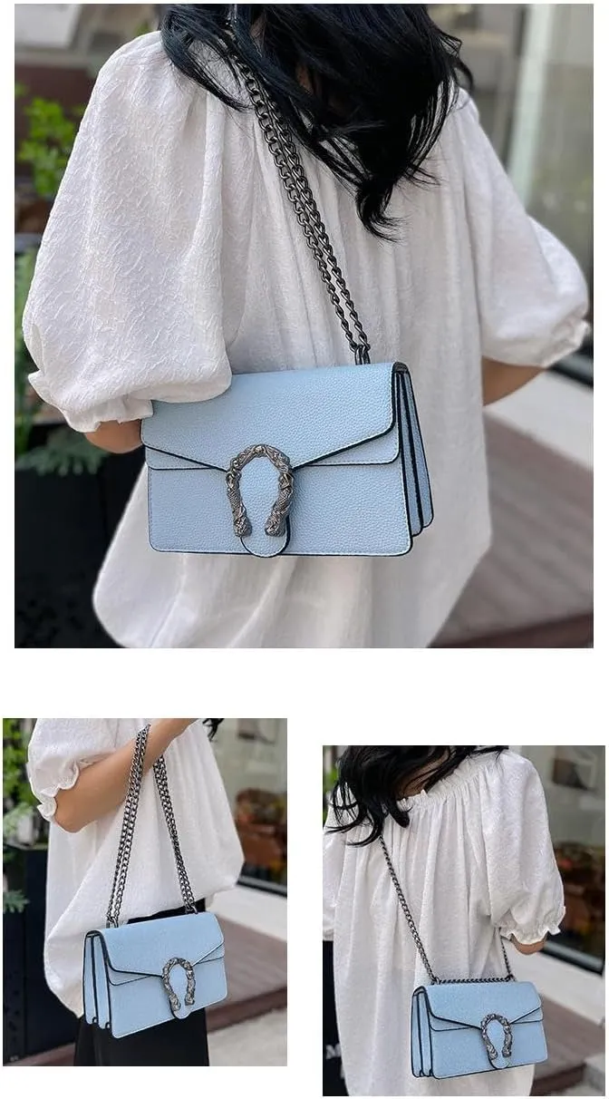 Lychee Print Crossbody Bag with Chain Strap, Metal Buckle Square Purse,Multiple Colors